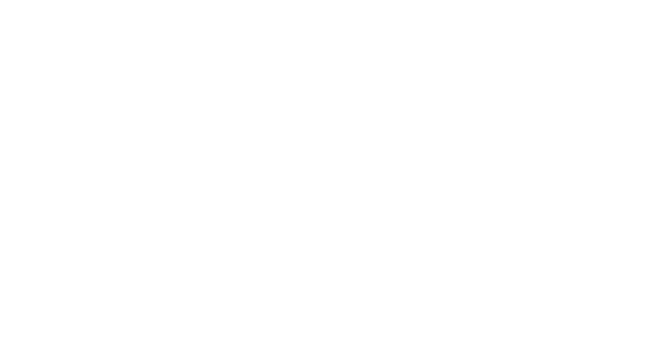 Le premier écran
